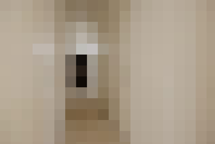  / #17