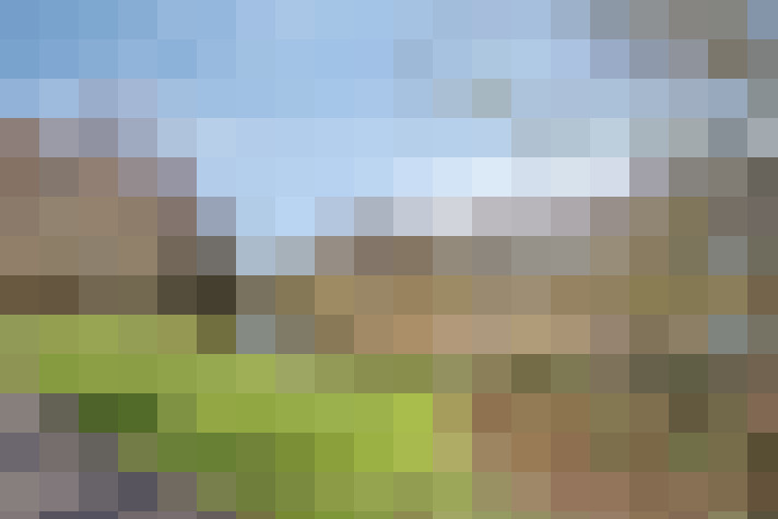  / #53