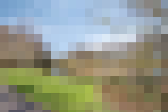  / #54