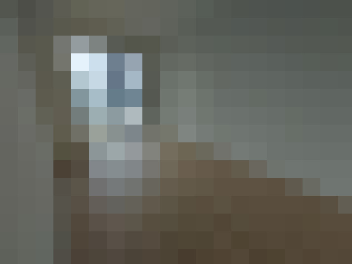  / #6