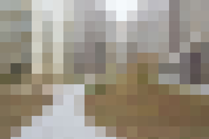  / #14
