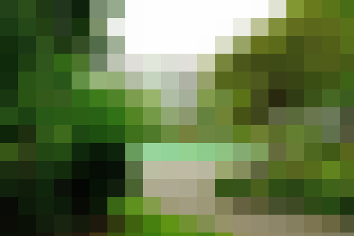  / #22
