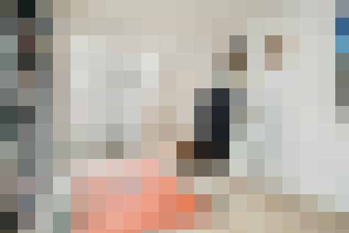  / #17