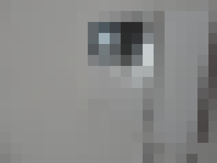  / #8