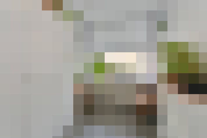  / #20