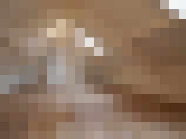  / #14