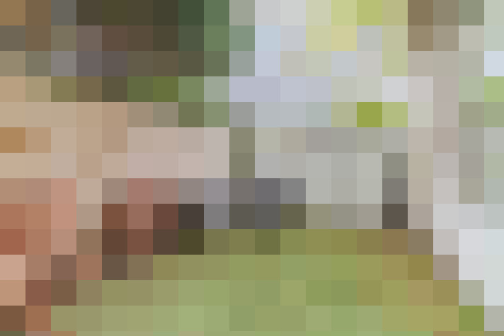 / #21
