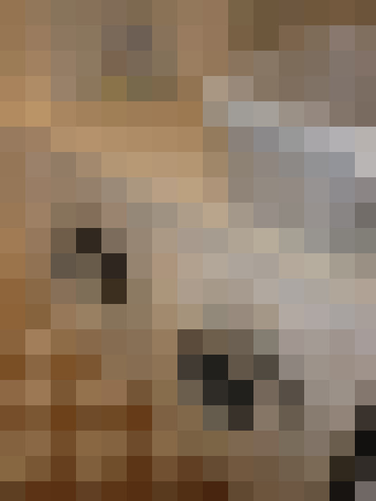  / #12