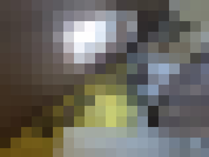  / #17