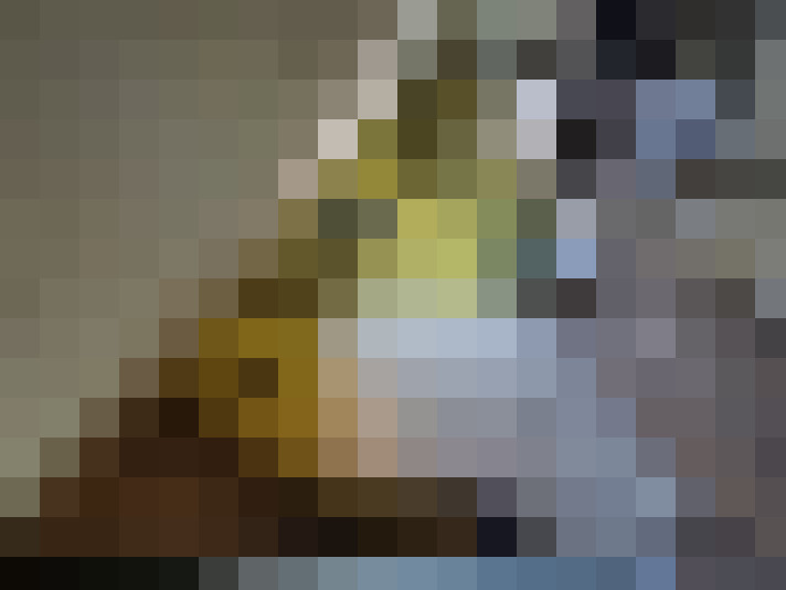  / #14