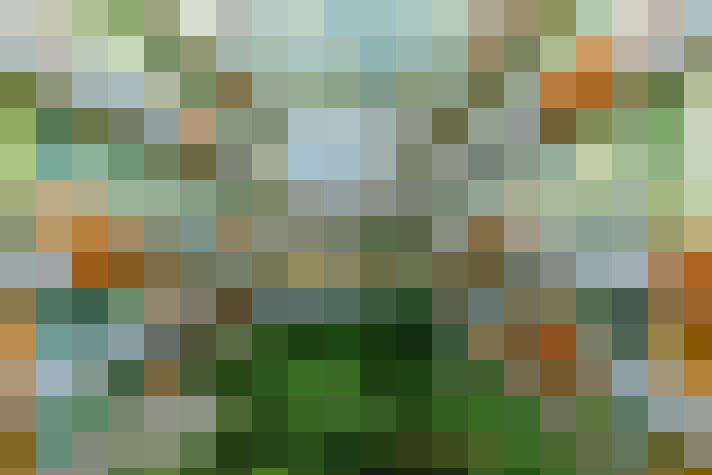  / #33