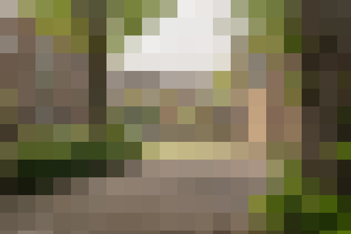  / #29