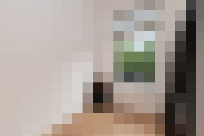  / #19