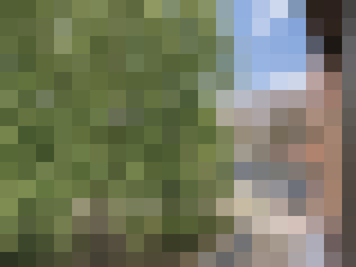  / #15