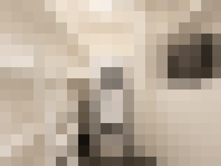  / #14