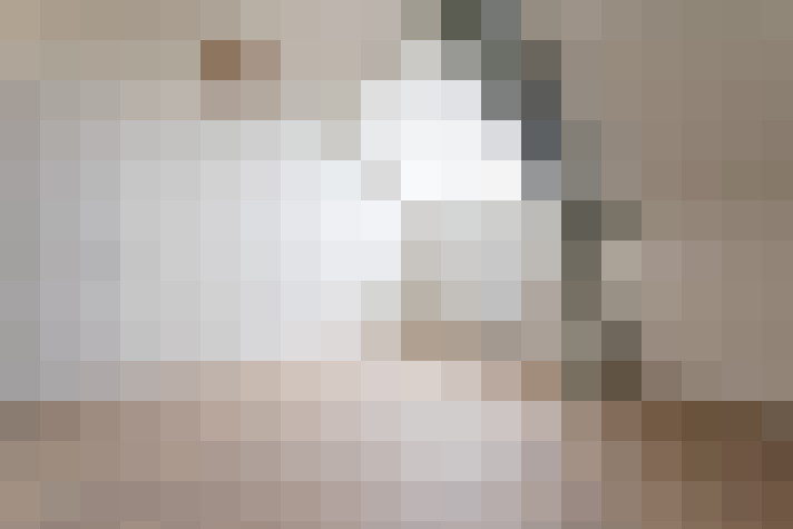  / #23