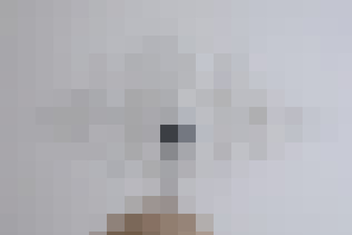  / #11