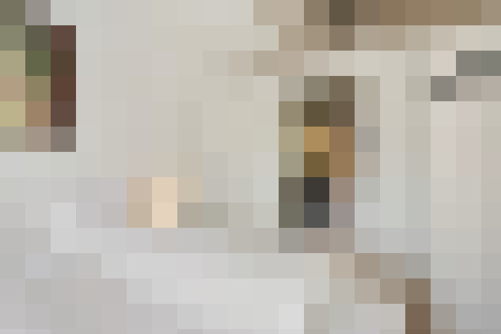  / #17