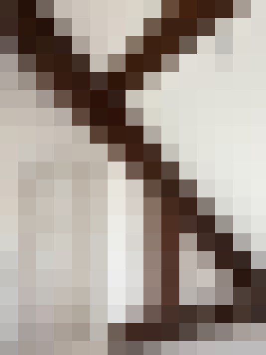  / #19