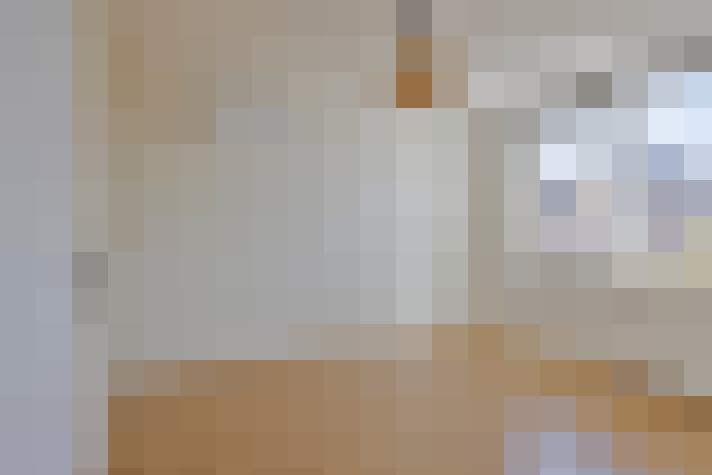  / #24