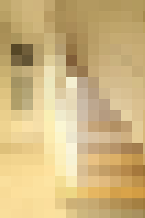  / #24