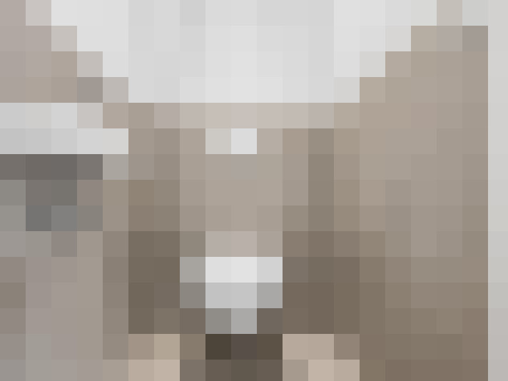  / #19