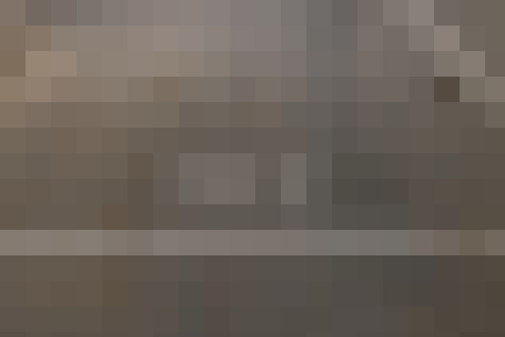  / #19