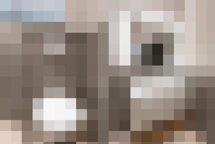  / #17