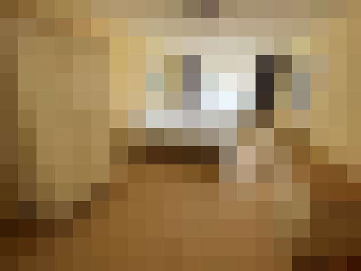  / #15