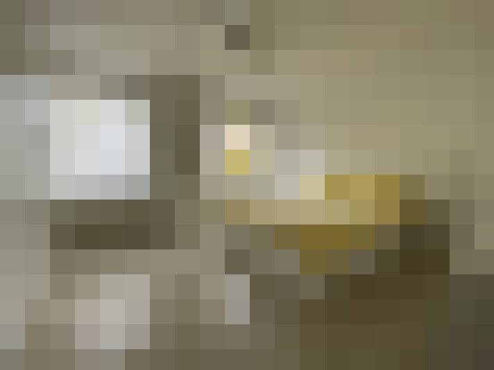 / #11