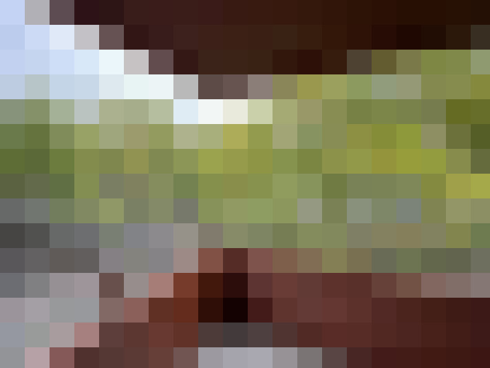  / #8