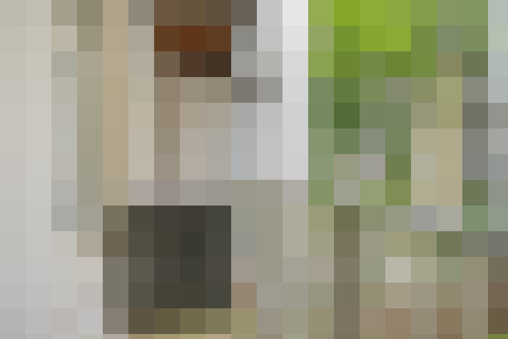  / #18