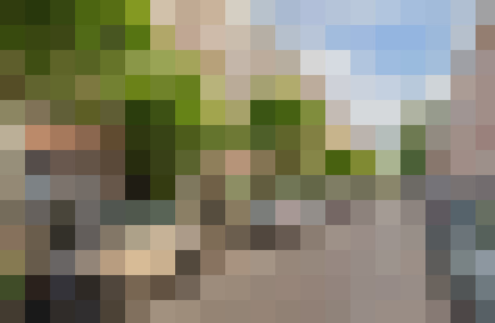  / #17