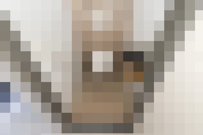  / #13