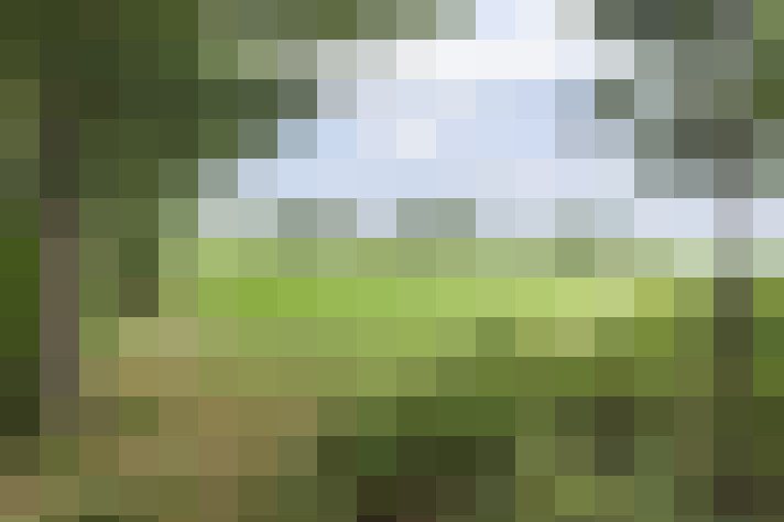  / #53