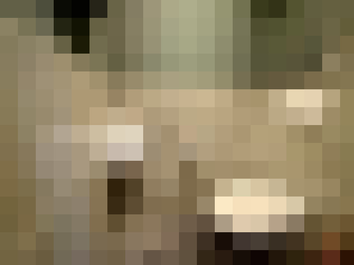  / #17