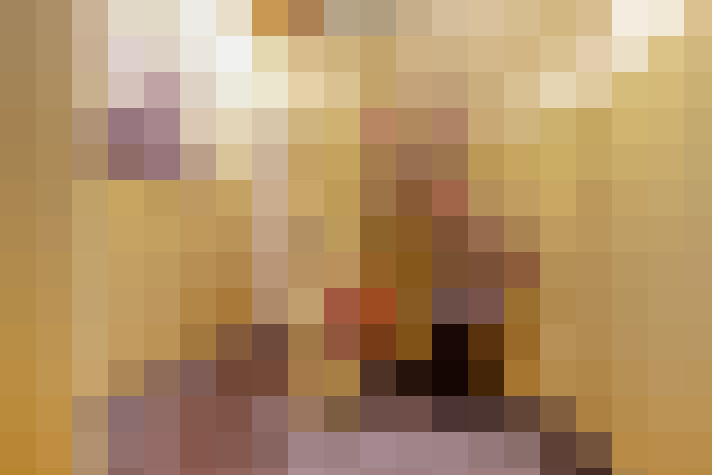  / #53