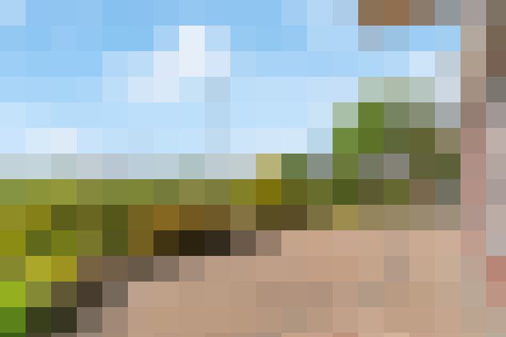  / #57