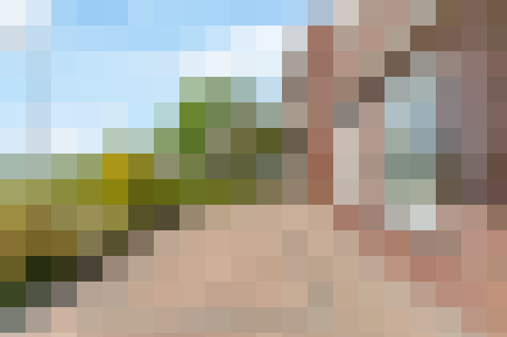  / #62