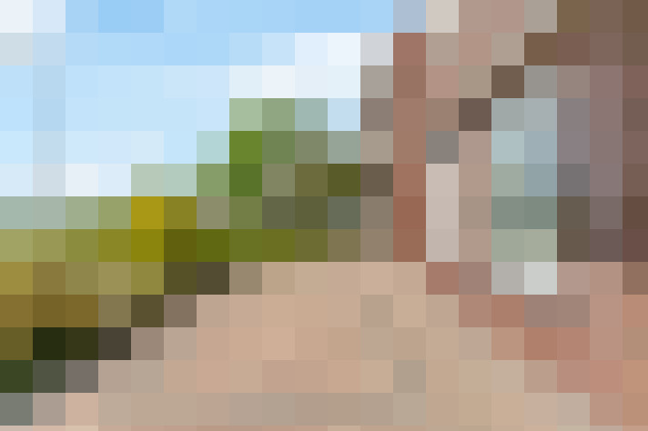 / #31