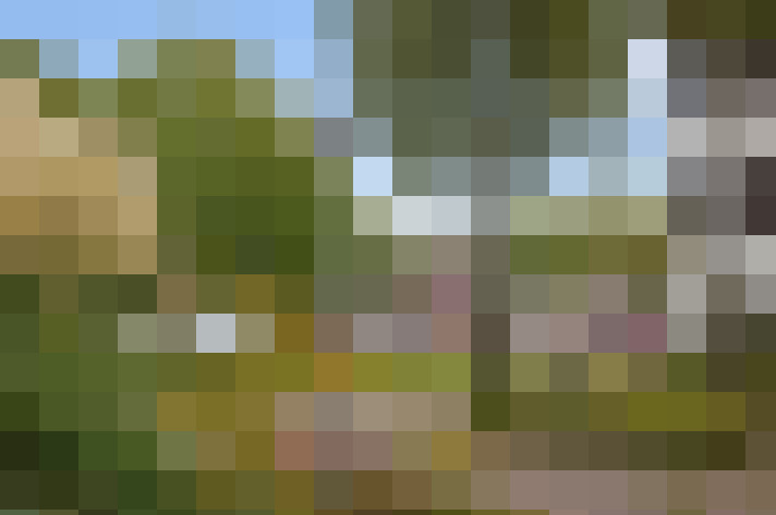  / #15