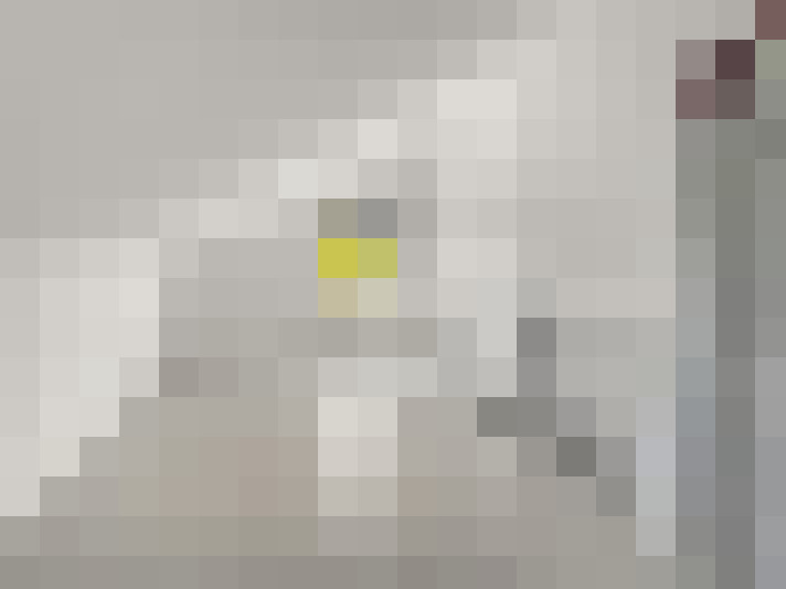  / #18