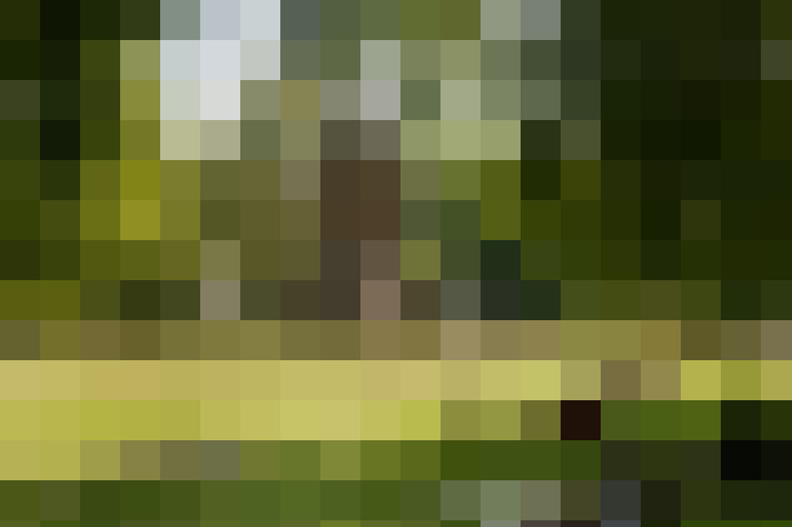  / #64