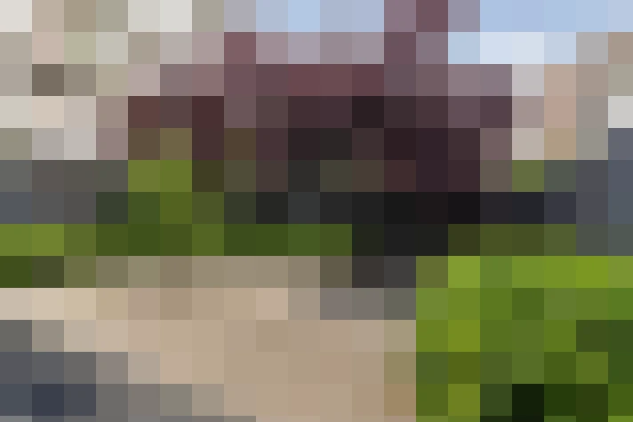  / #15