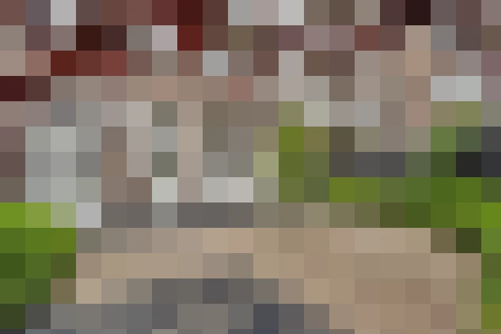 / #16