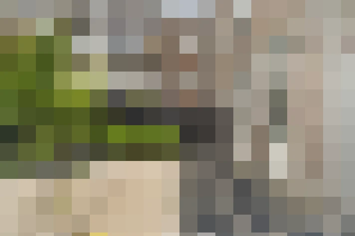  / #14