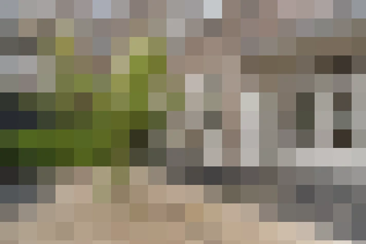  / #17