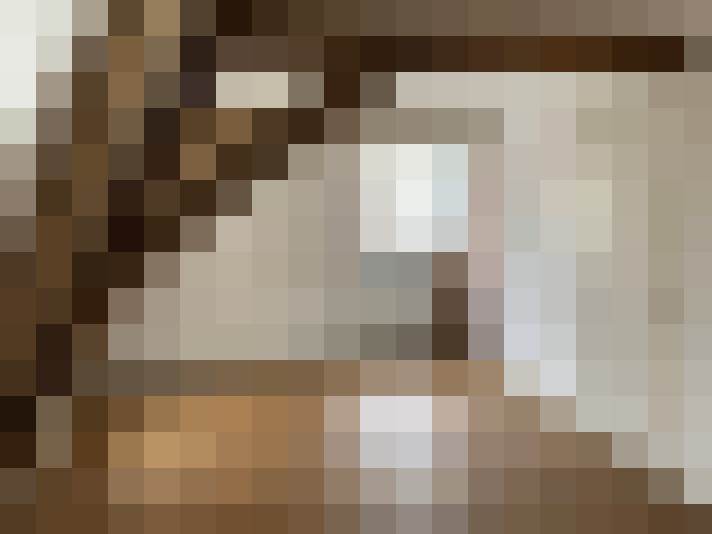  / #22