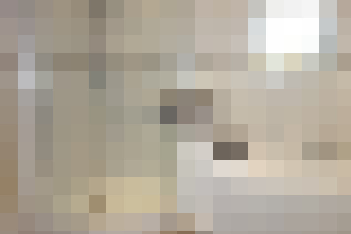  / #18