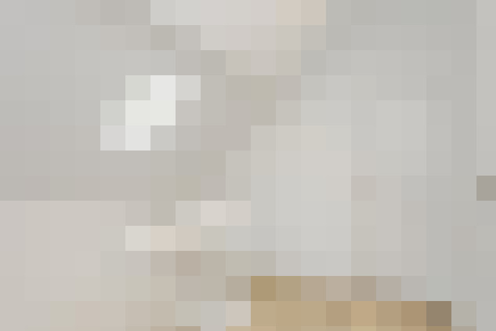  / #21